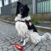 Einsatz Schärding 06.05.2024