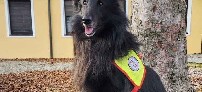 4. Landesprüfung