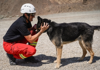 Michi Mayer mit Jack