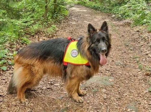 Einsatz Linz 25.08.2025