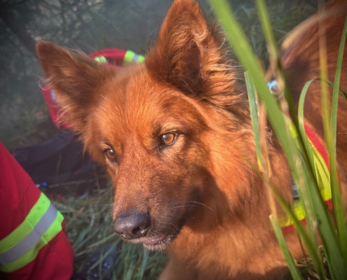 02.03.2026 Sucheinsatz