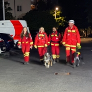 Einsatz Linz