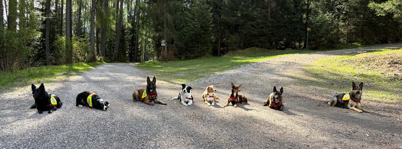 Headerbild Oberinntal