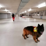 Einsatz 17.06.2026