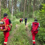 Rettungshunde-Team mit Hunden und Einsatzkräften in roter Uniform auf Waldweg in Österreich