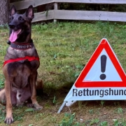 Rettungshund in Österreich mit Warnschild, das auf seine Anwesenheit hinweist.
