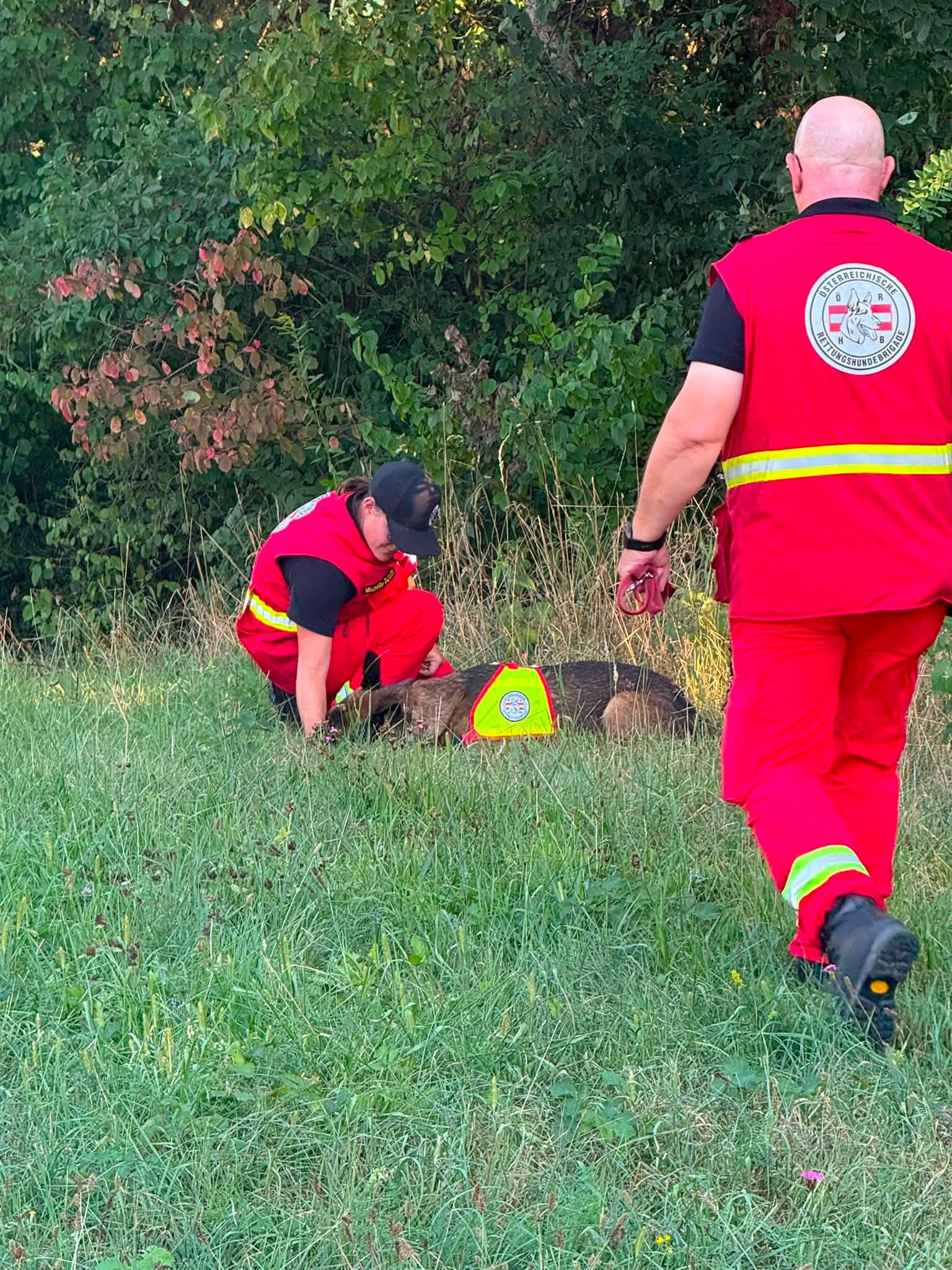 Rettungshundeführerin Michelle K. kümmert sich um einen Hund in einem Feld bei Wien